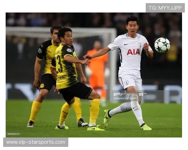 球队历史战绩数据全解析，球员历史记录