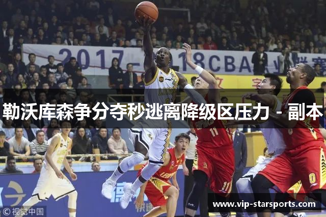 勒沃库森争分夺秒逃离降级区压力 - 副本