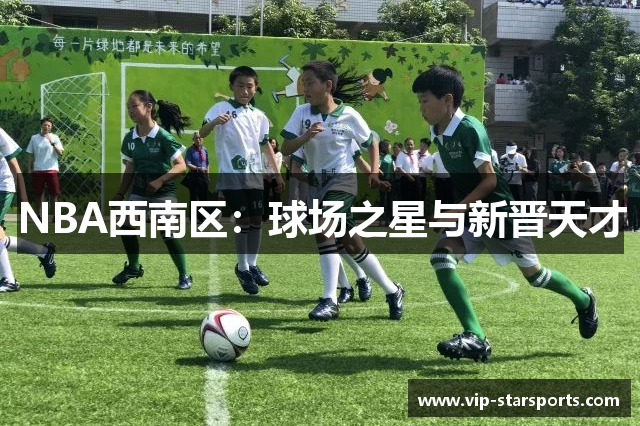 NBA西南区：球场之星与新晋天才