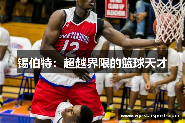 锡伯特：超越界限的篮球天才