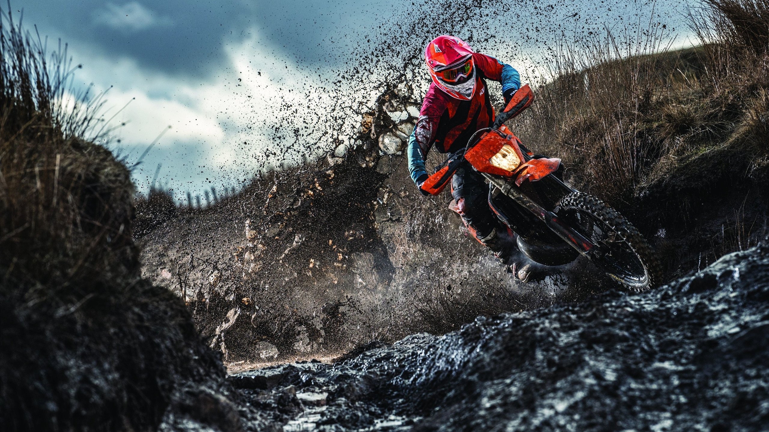 星空娱乐官方下载-“马丁·高尔西的强势崛起，成为阿根廷美洲狮队的未来支柱”